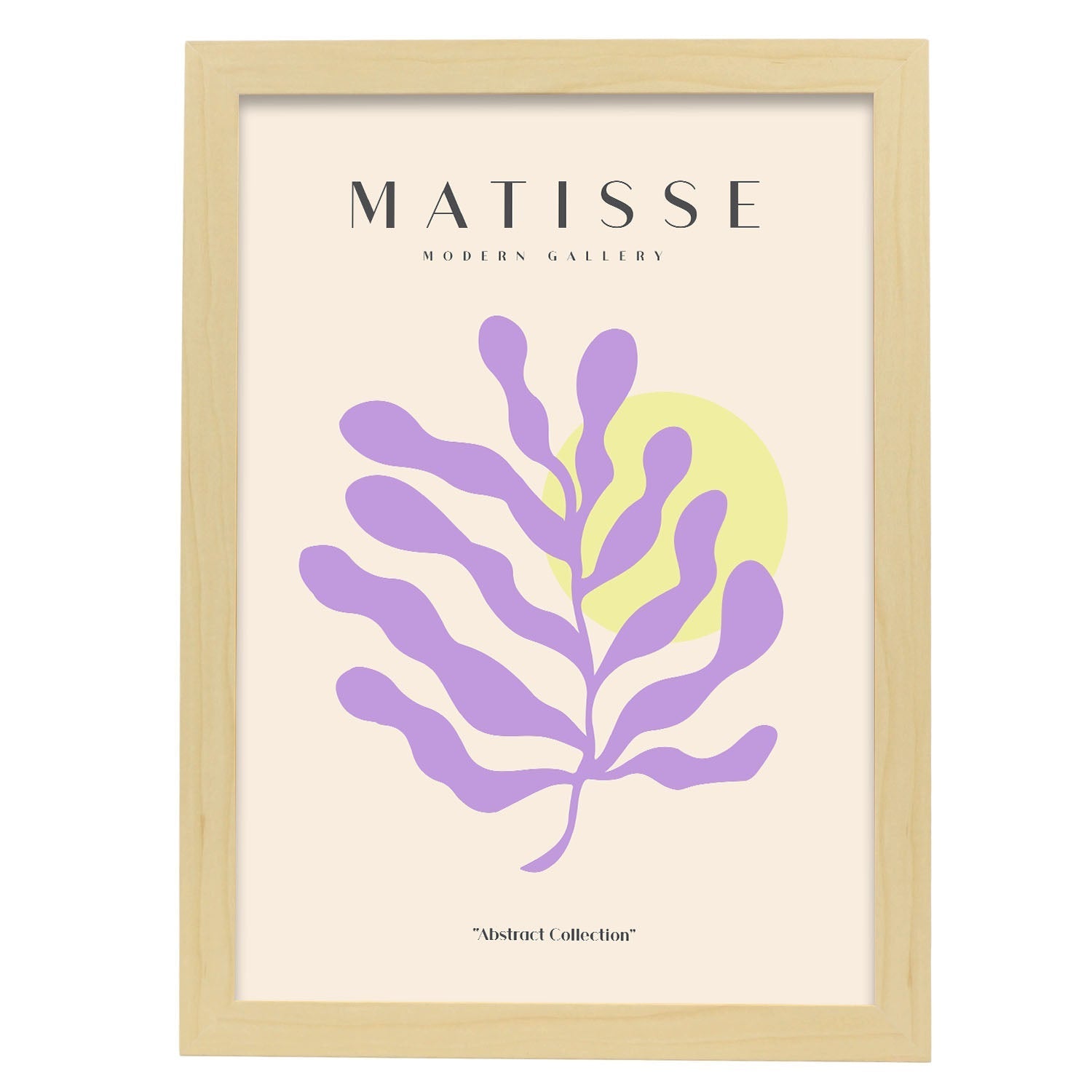 Nacnic Cartel De Falcate