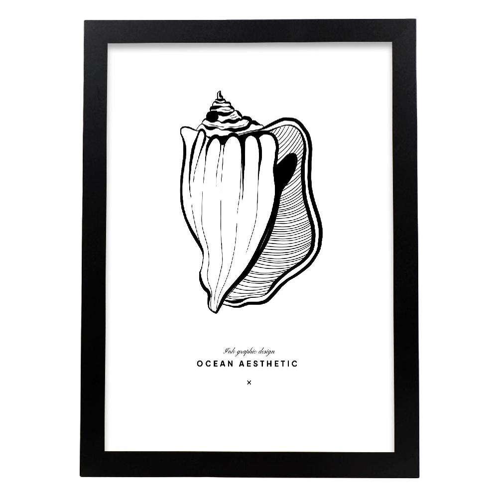 Nacnic Cartel De Fighting Conch
