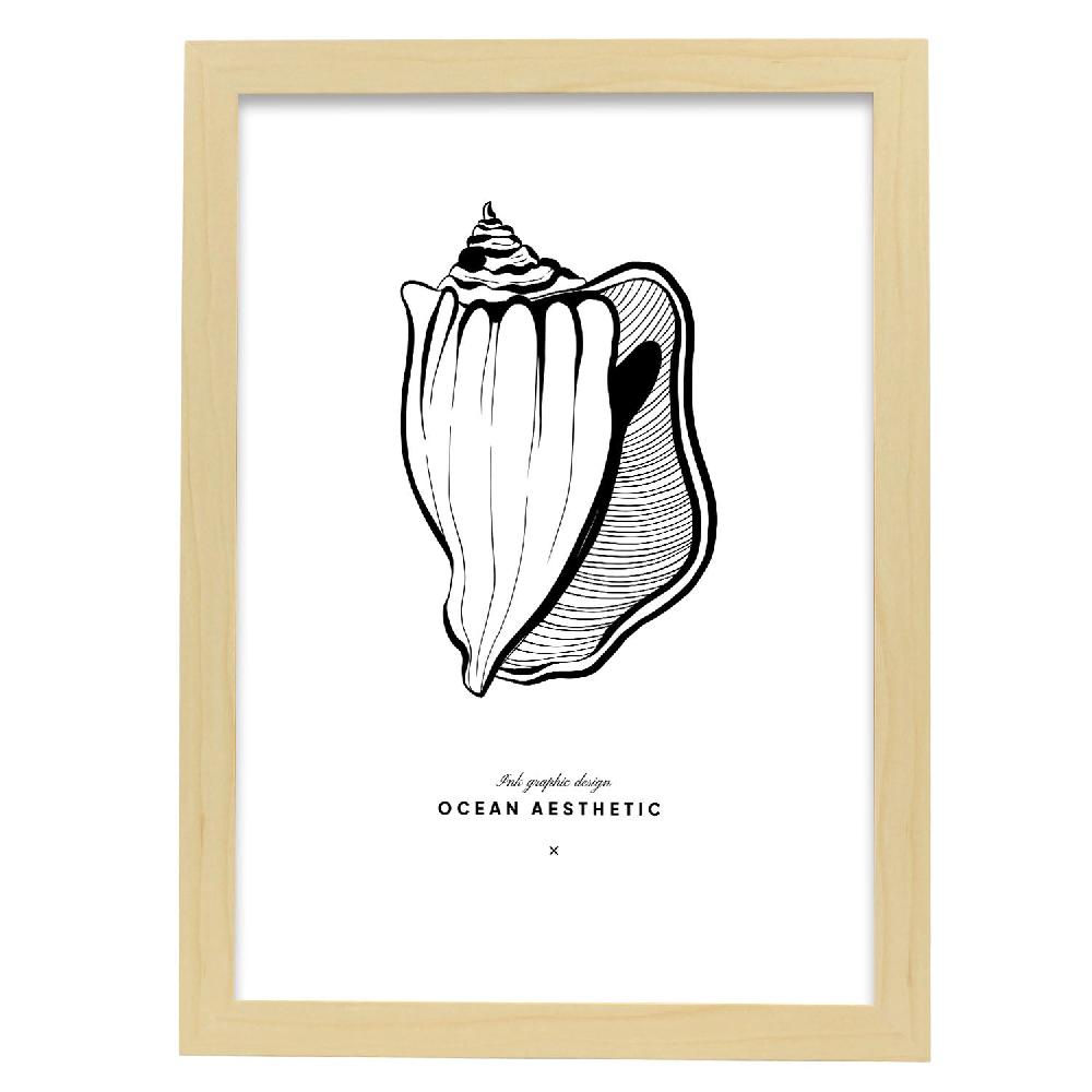 Nacnic Cartel De Fighting Conch