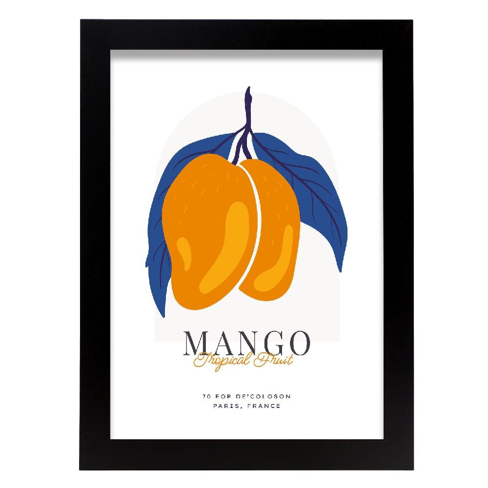 nacnic Cartel de Mango