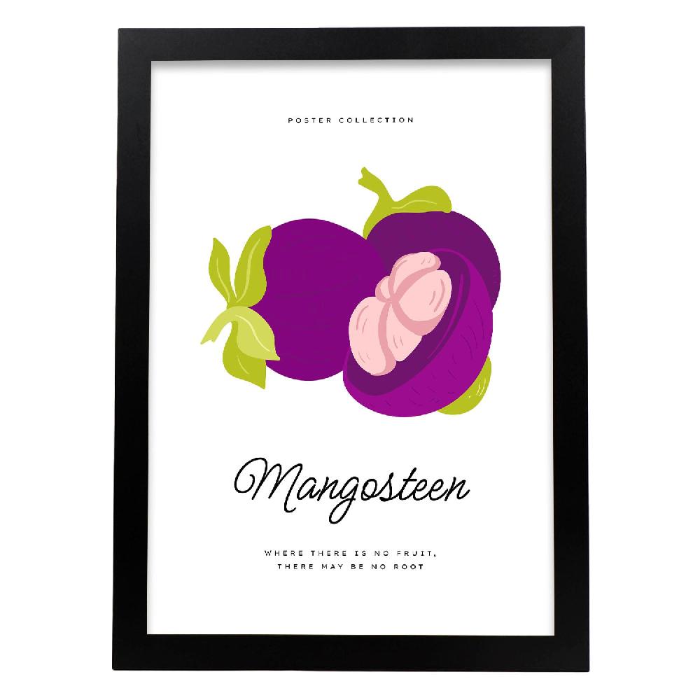 Nacnic Cartel De Mangosteen