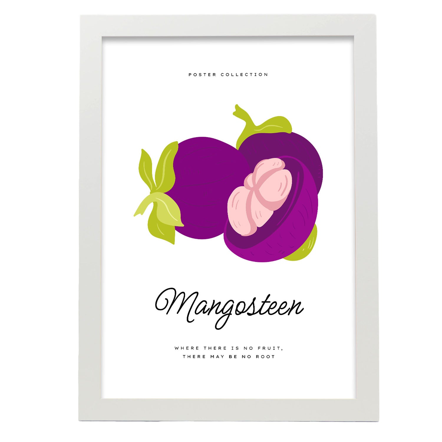 Nacnic Cartel De Mangosteen