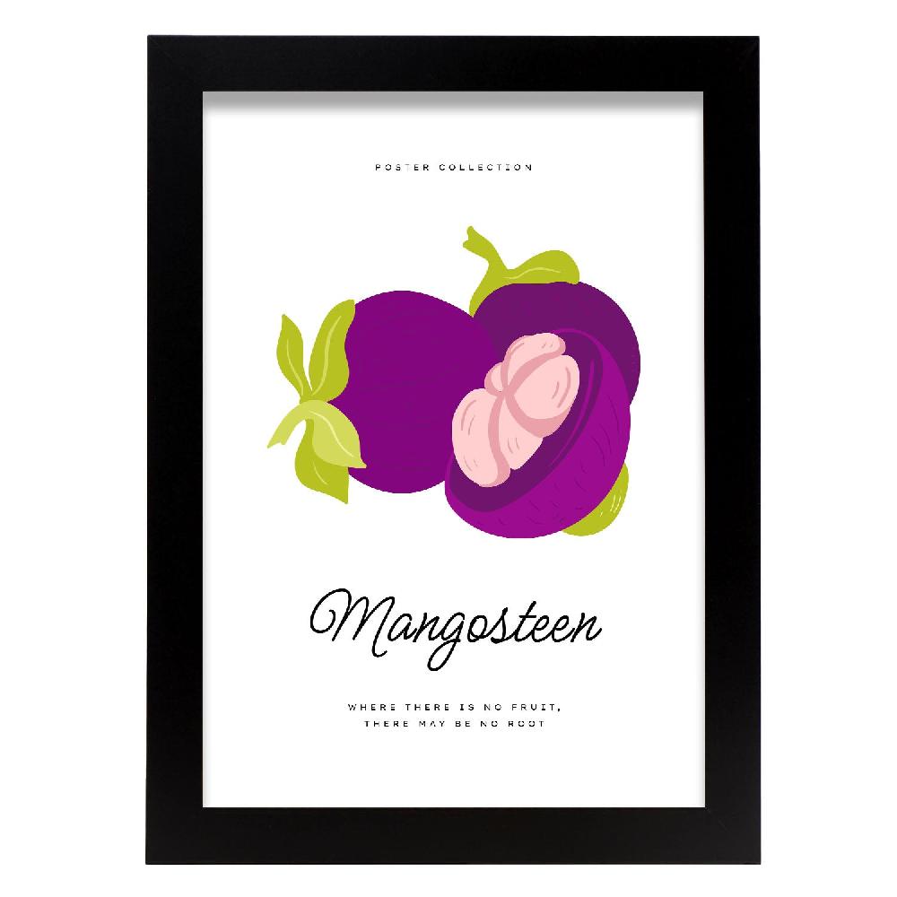 nacnic Cartel de Mangosteen
