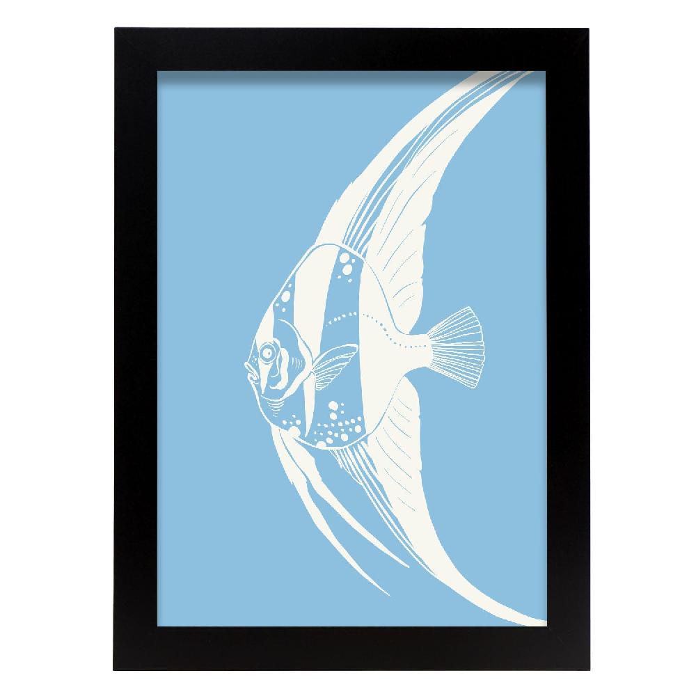 nacnic Cartel de Moonfish