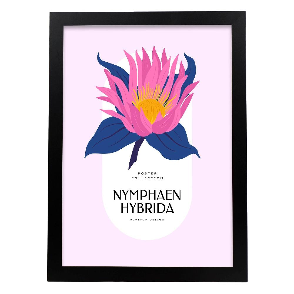 Nacnic Cartel De Nymphaen Hybrida