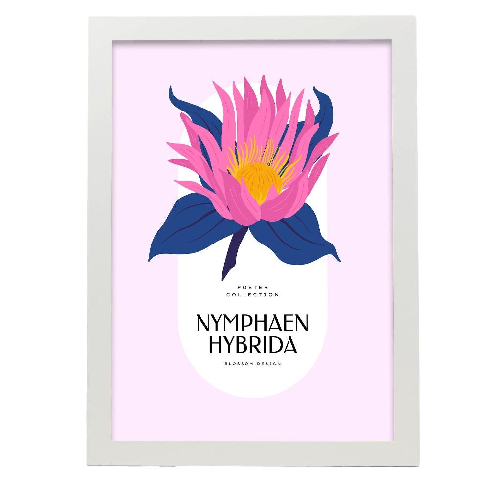 Nacnic Cartel De Nymphaen Hybrida