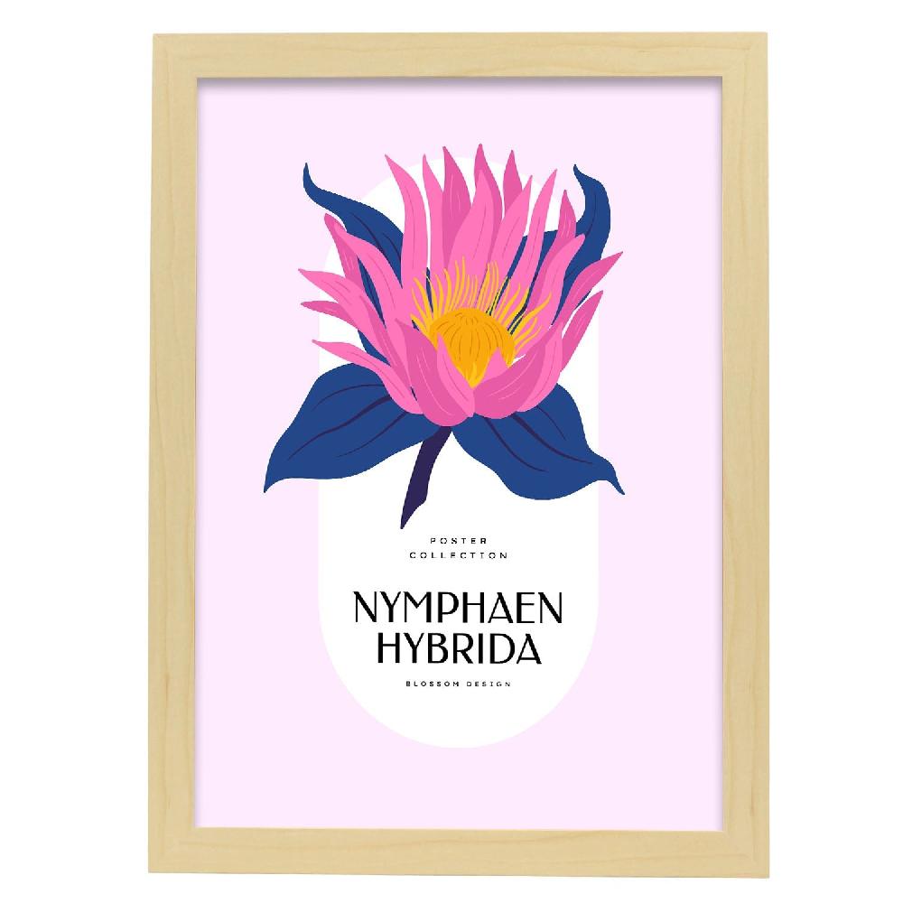 Nacnic Cartel De Nymphaen Hybrida