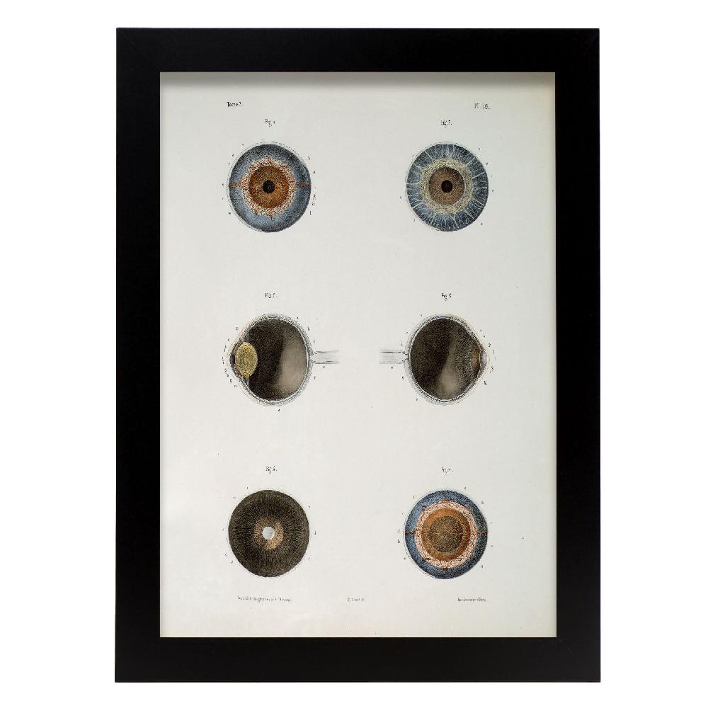 nacnic Cartel de Ojo Aislado