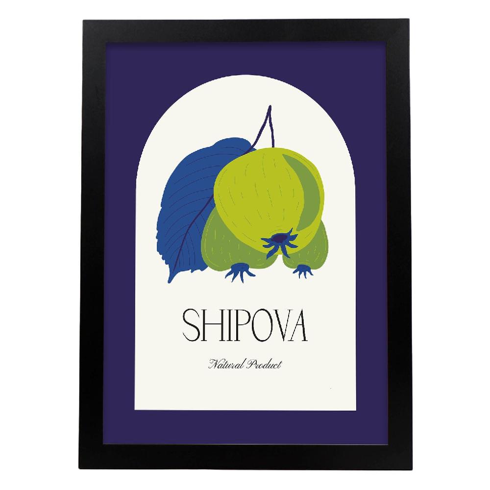 Nacnic Cartel De Shipova