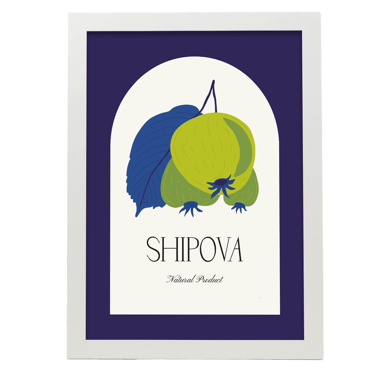Nacnic Cartel De Shipova
