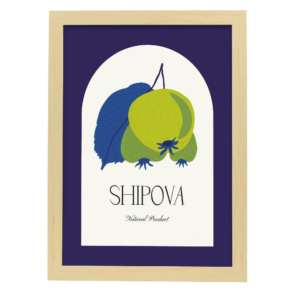 Nacnic Cartel De Shipova
