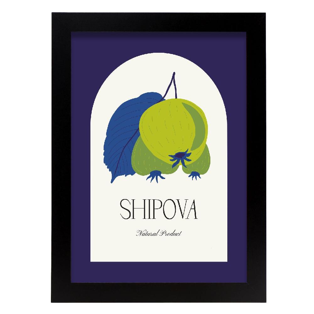 nacnic Cartel de Shipova