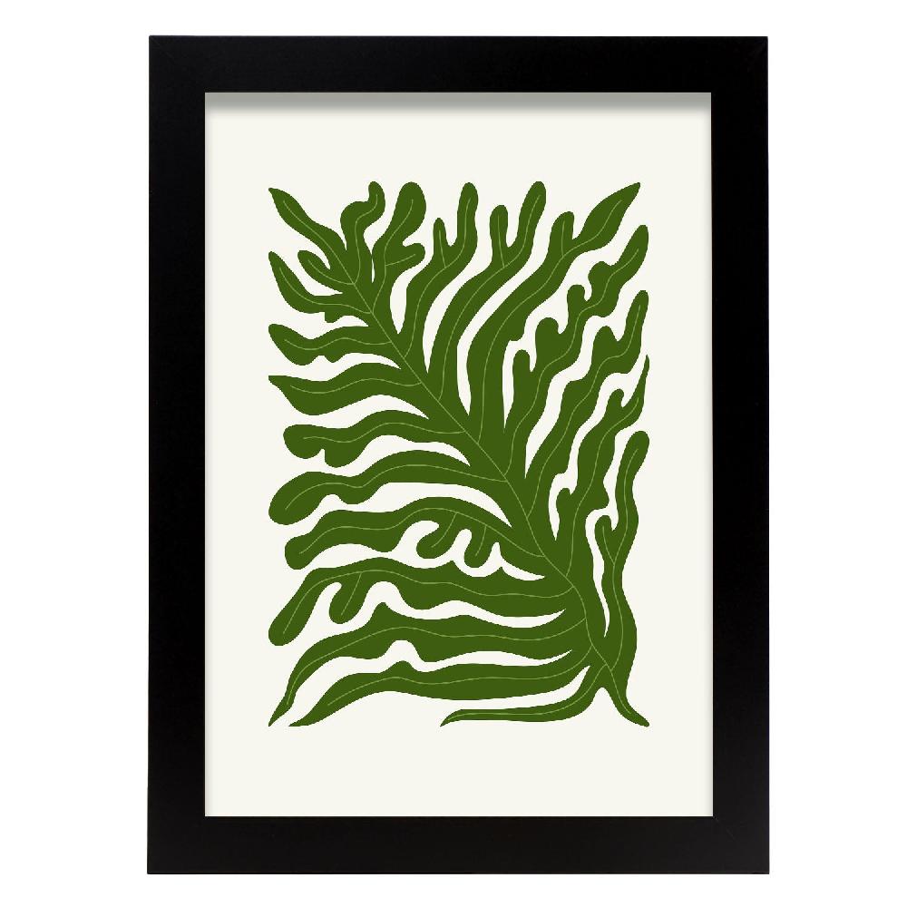 nacnic Cartel de Shrubby