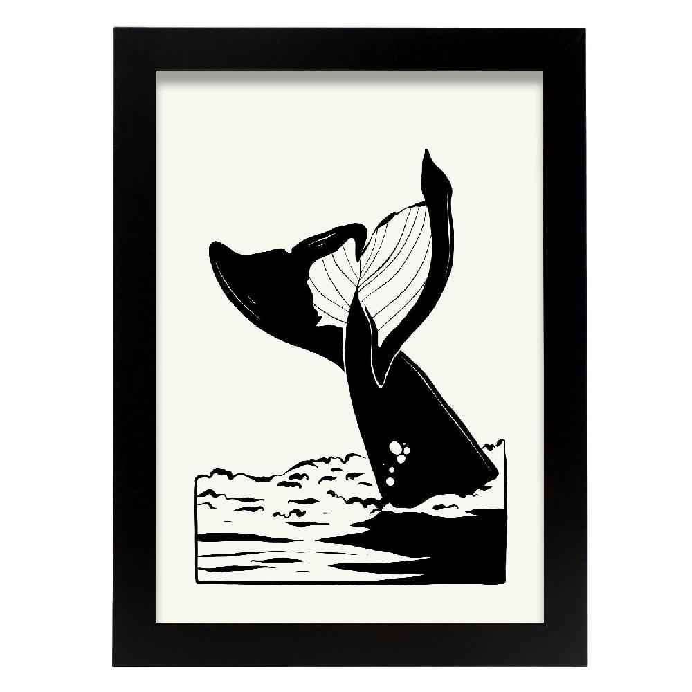 nacnic Cartel de Whale tail