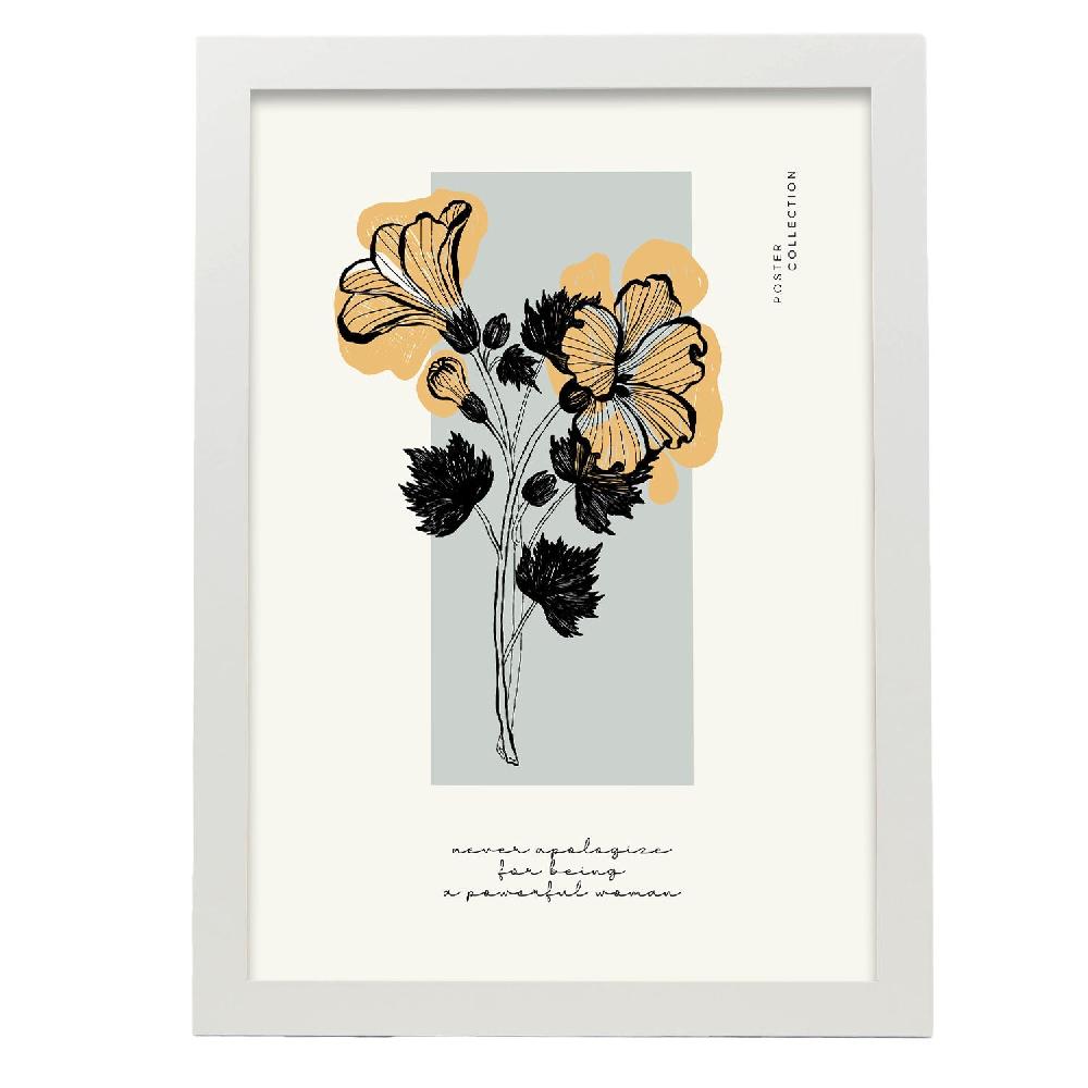 Nacnic Cartel Impresionante