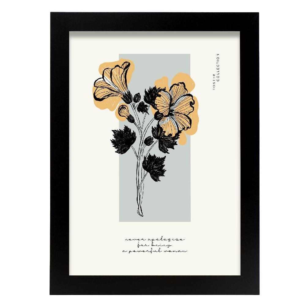 nacnic Cartel Impresionante