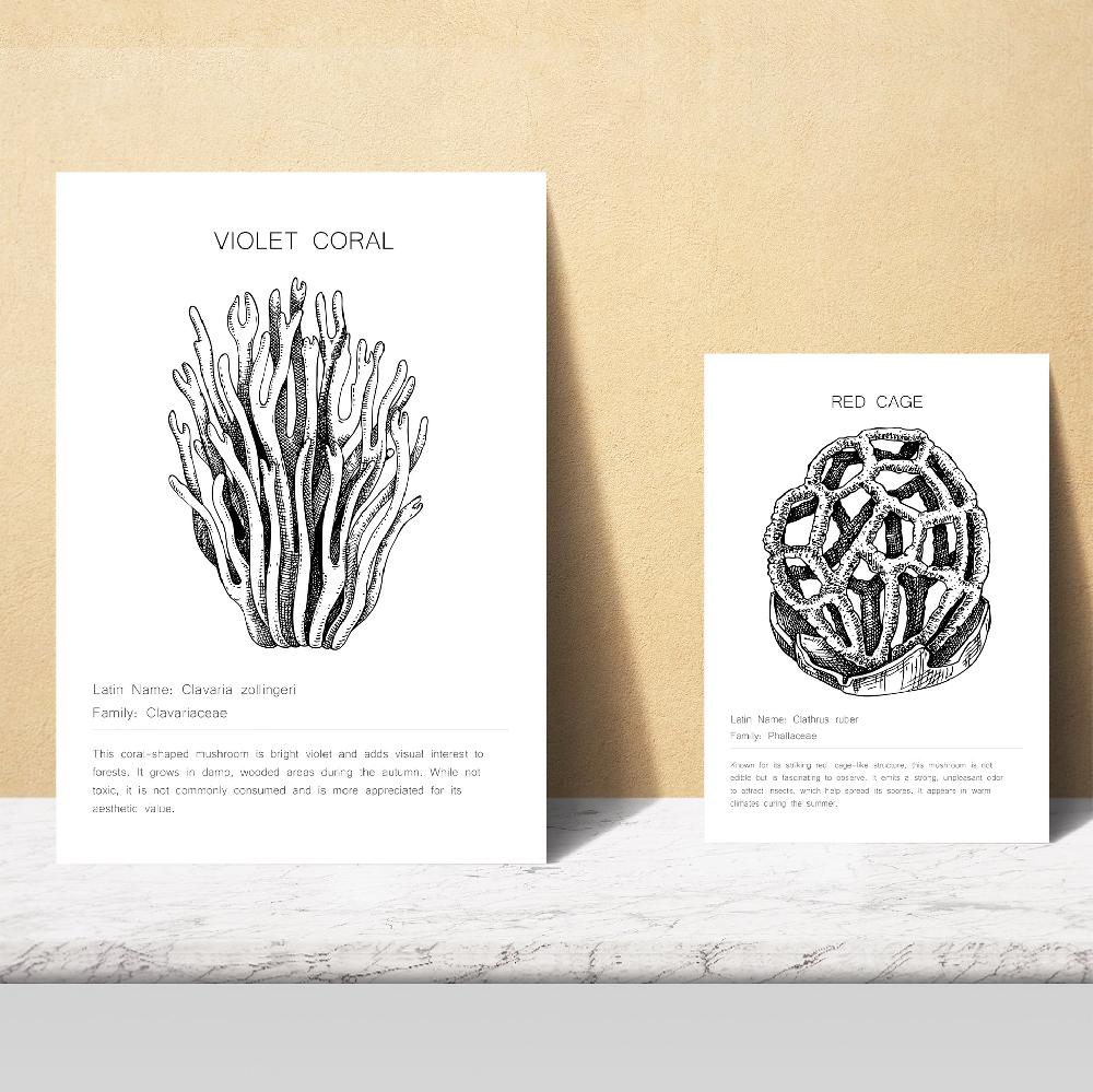 Nacnic Composicion Hongos Blanco Y Negro