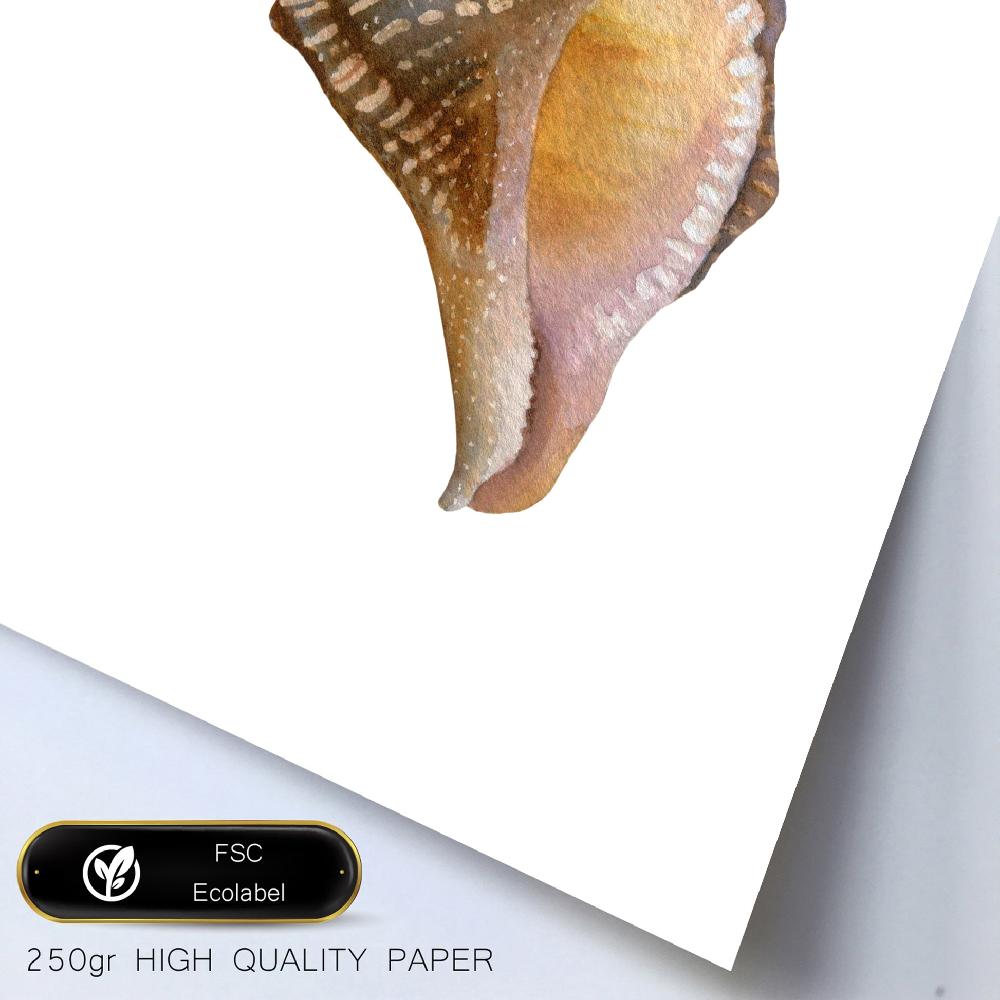 Nacnic Composición Mar Playa Verano