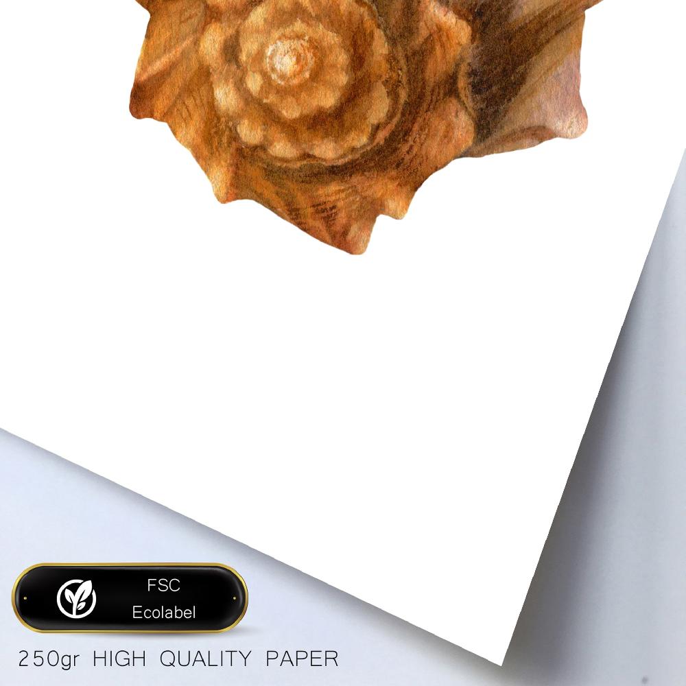 Nacnic Composición Oceano Y Mar