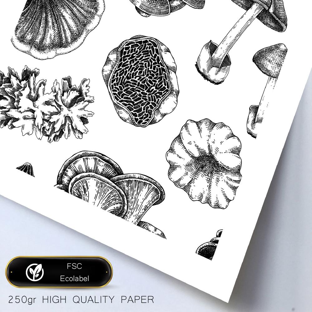 Nacnic Composicion Setas Blanco Y Negro