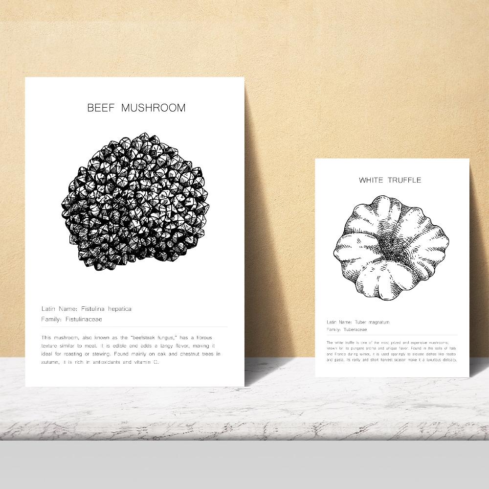 Nacnic Composicion Setas Blanco Y Negro