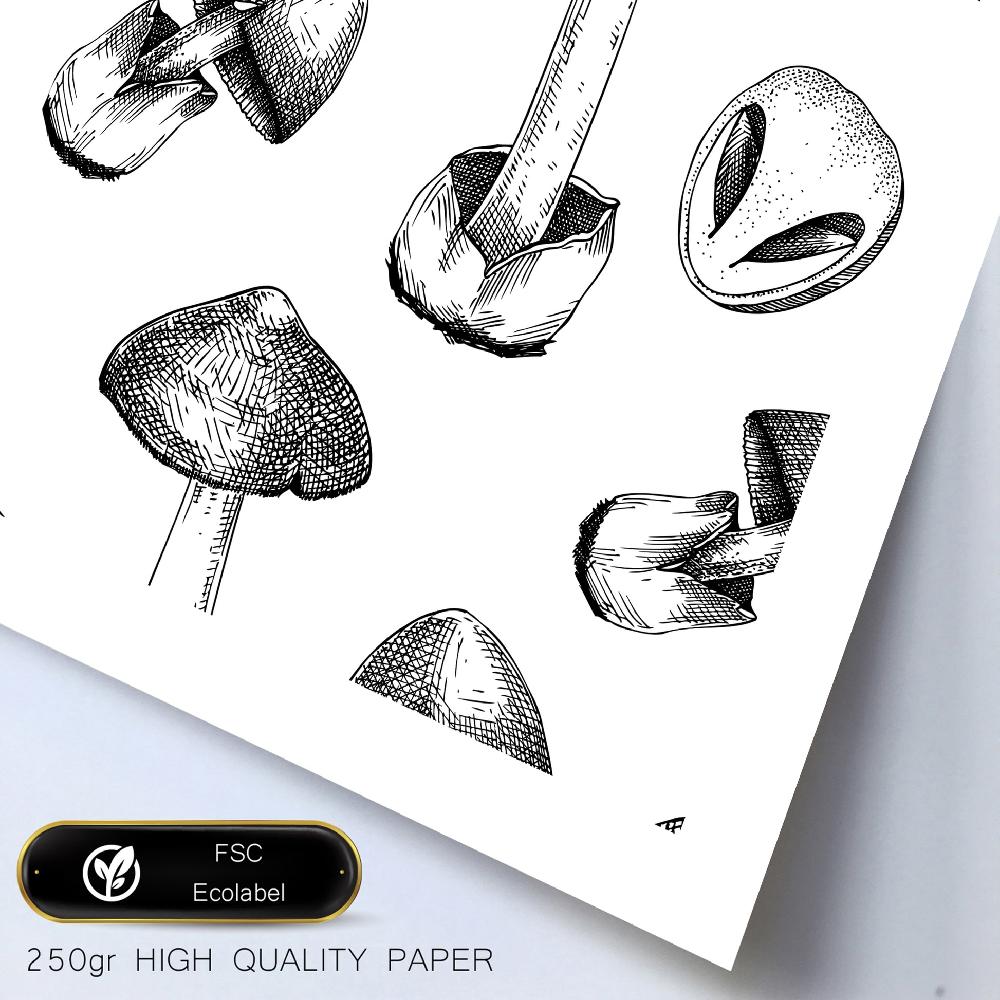 Nacnic Composicion Setas Ilustraciones