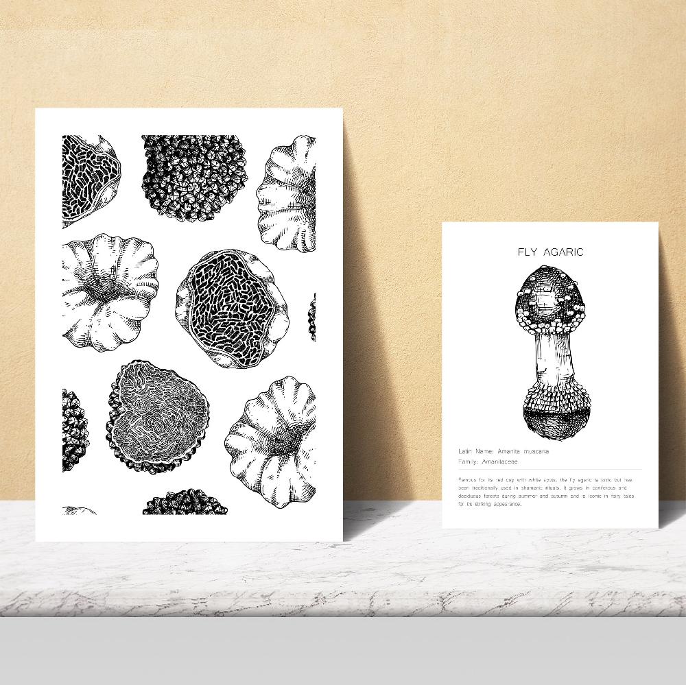 Nacnic Composicion Setas Ilustraciones