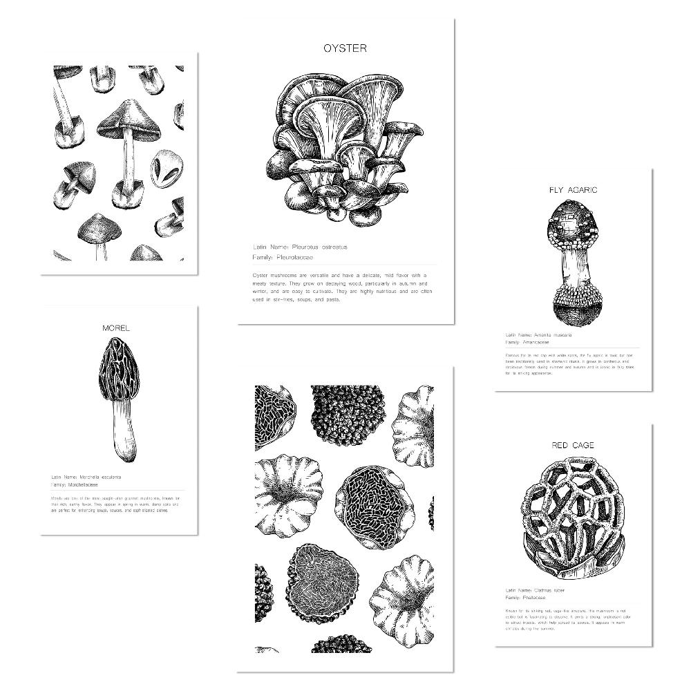 nacnic Composicion setas ilustraciones