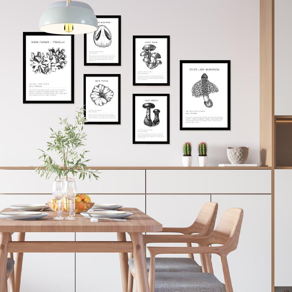 Nacnic Composicion Setas Tipos Y Detalles