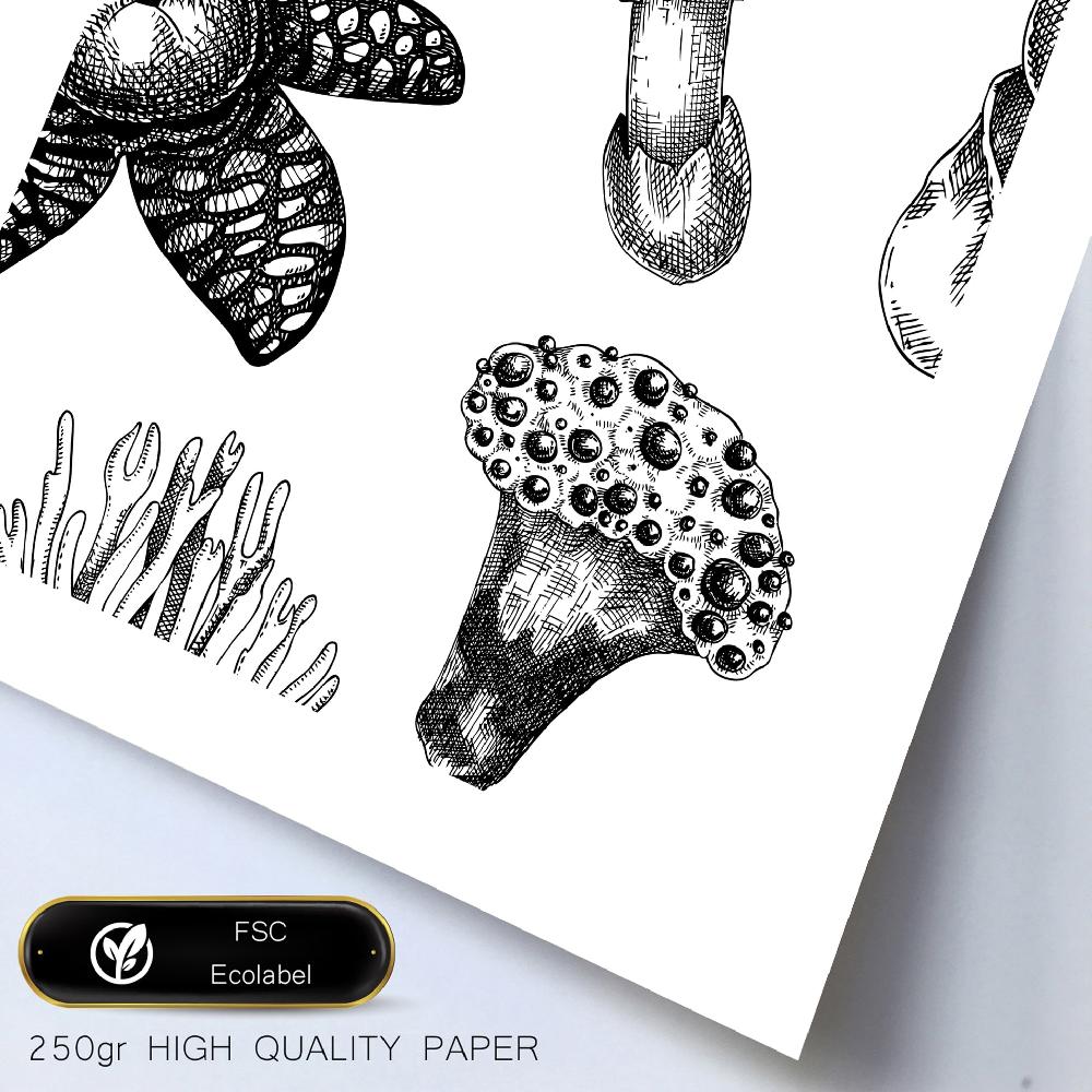 Nacnic Composicion Setas Y Homgos Blanco Y Negro