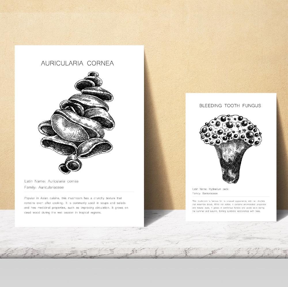 Nacnic Composicion Setas Y Homgos Blanco Y Negro