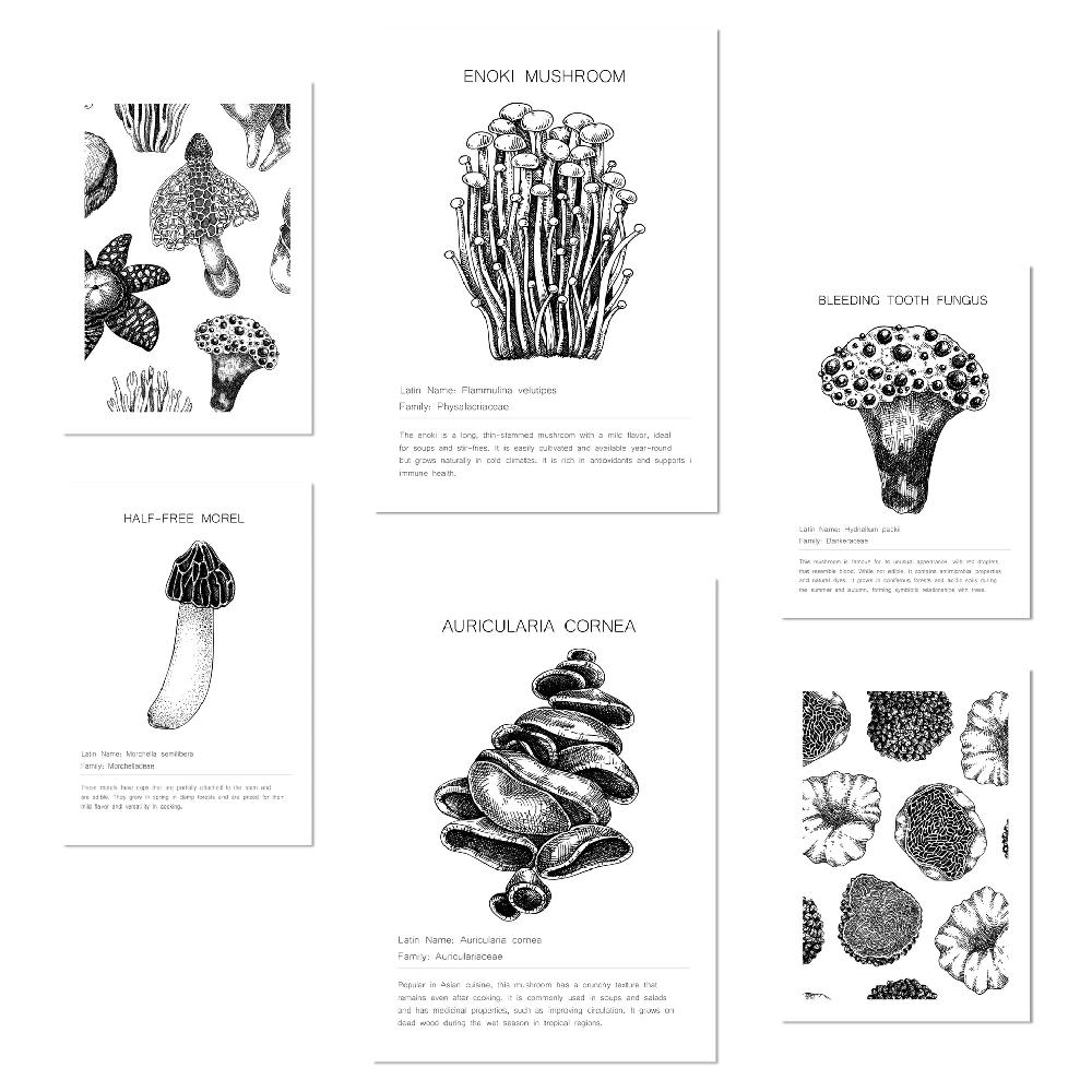 nacnic Composicion setas y homgos blanco y negro