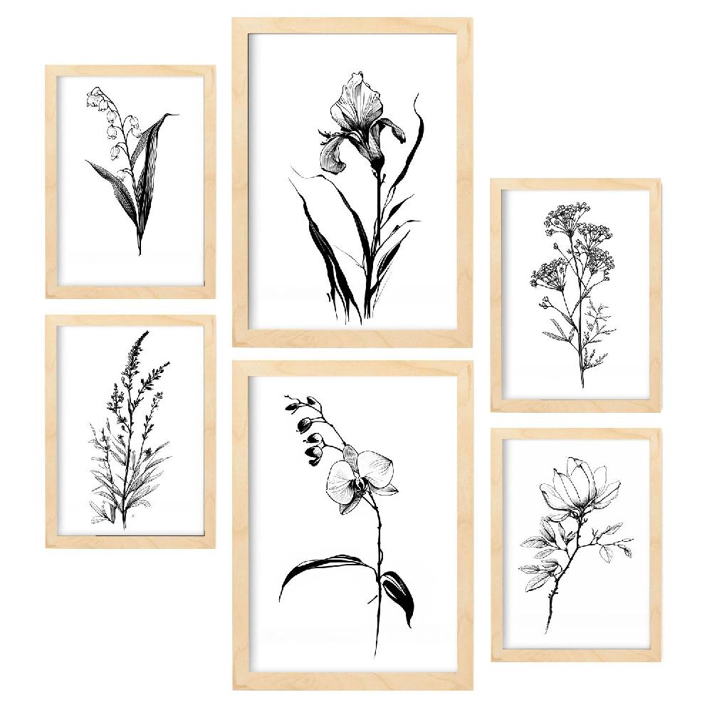 Nacnic Nacnic Conjunto De Laminas Flores Lineales_7