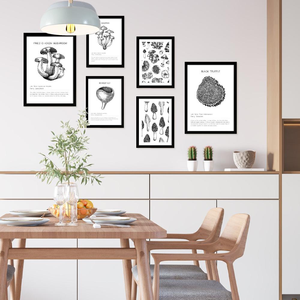 Nacnic Ilustraciones De Tipos De Setas