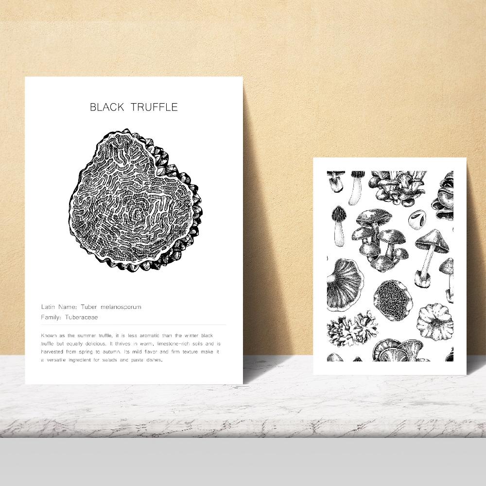 Nacnic Ilustraciones De Tipos De Setas