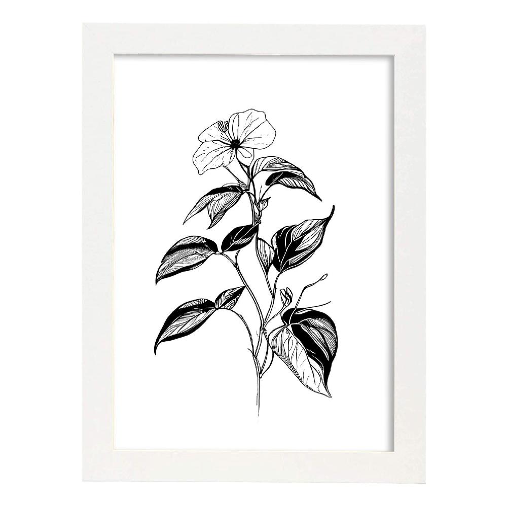 Nacnic Nacnic Impatiens Arte Minimalista Lineal - Lámina