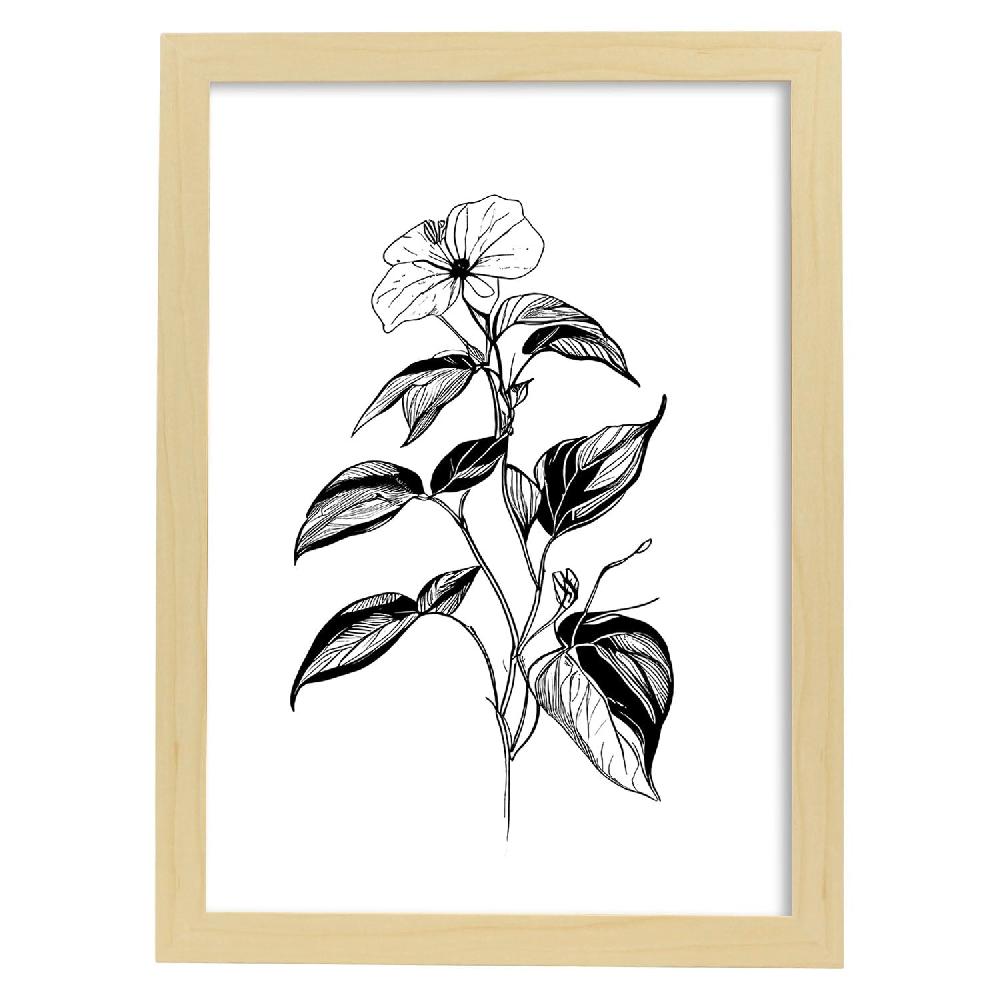 Nacnic Nacnic Impatiens Arte Minimalista Lineal - Lámina