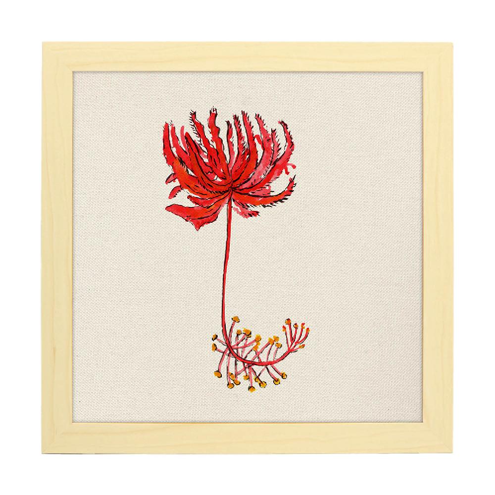 Nacnic Lámina Cuadrada De Flor De Raíz Ilustrada