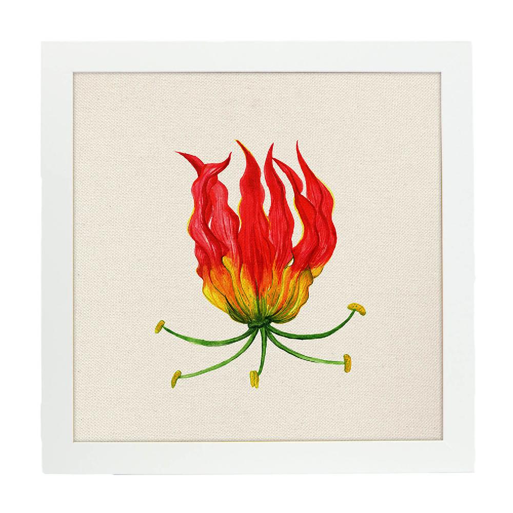 Nacnic Lámina Cuadrada Flor De Fuego Ilustrada