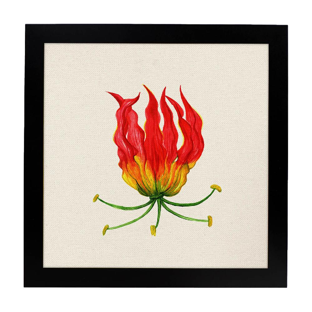 Nacnic Lámina Cuadrada Flor De Fuego Ilustrada