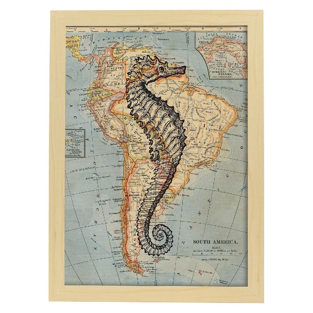 Nacnic Lámina De Caballito De Mar En Mapa Vintage