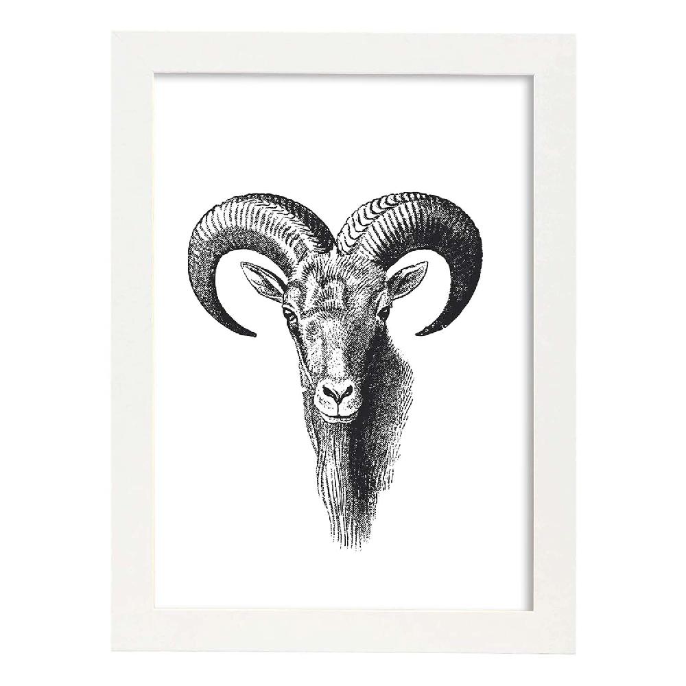 Nacnic Lámina De Cabra Montesa En Blanco Y Negro