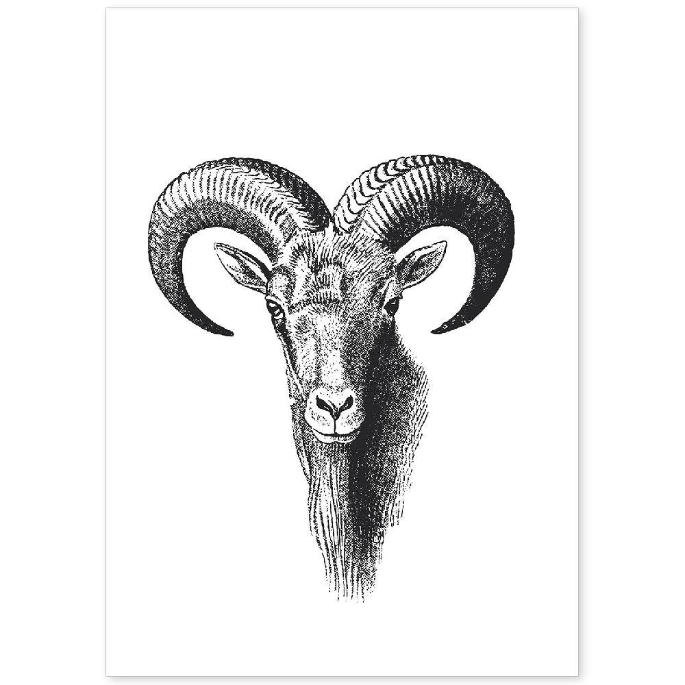 nacnic Lámina de Cabra Montesa en Blanco y Negro