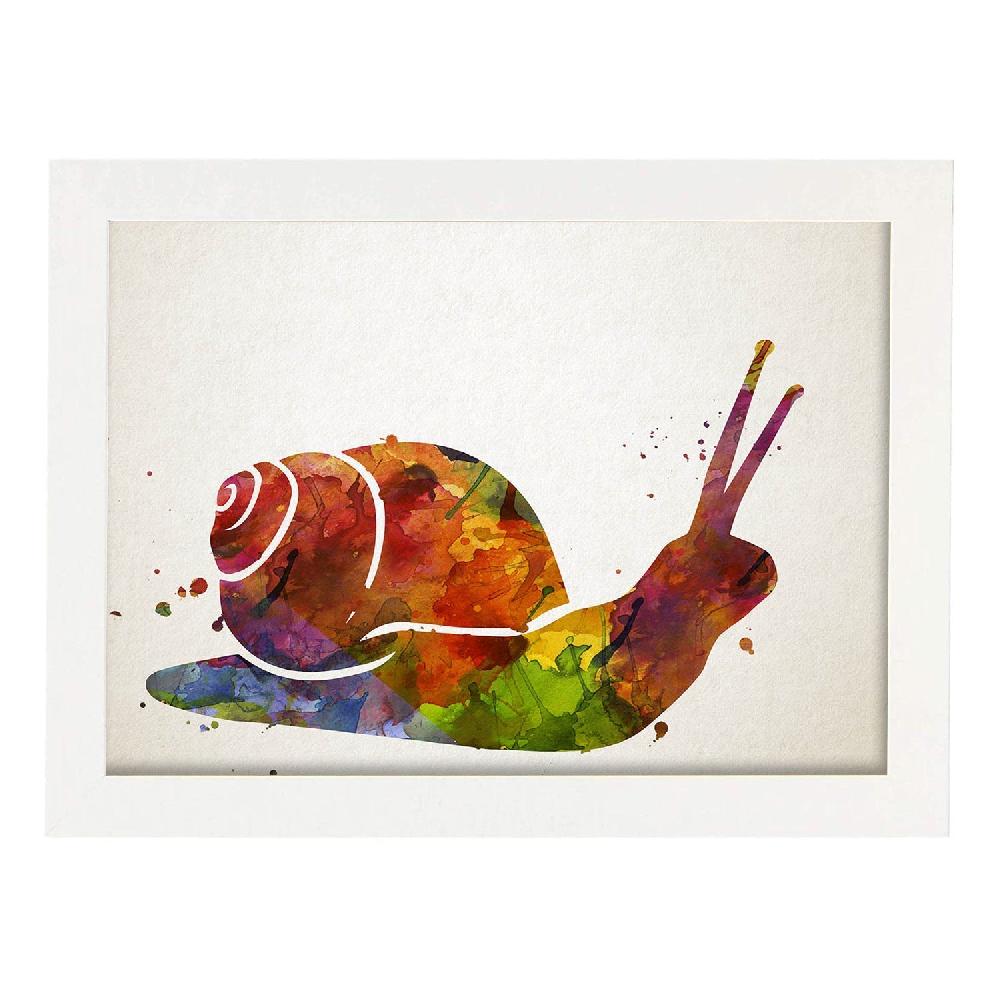 Nacnic Lámina De Caracol Estilo Acuarela