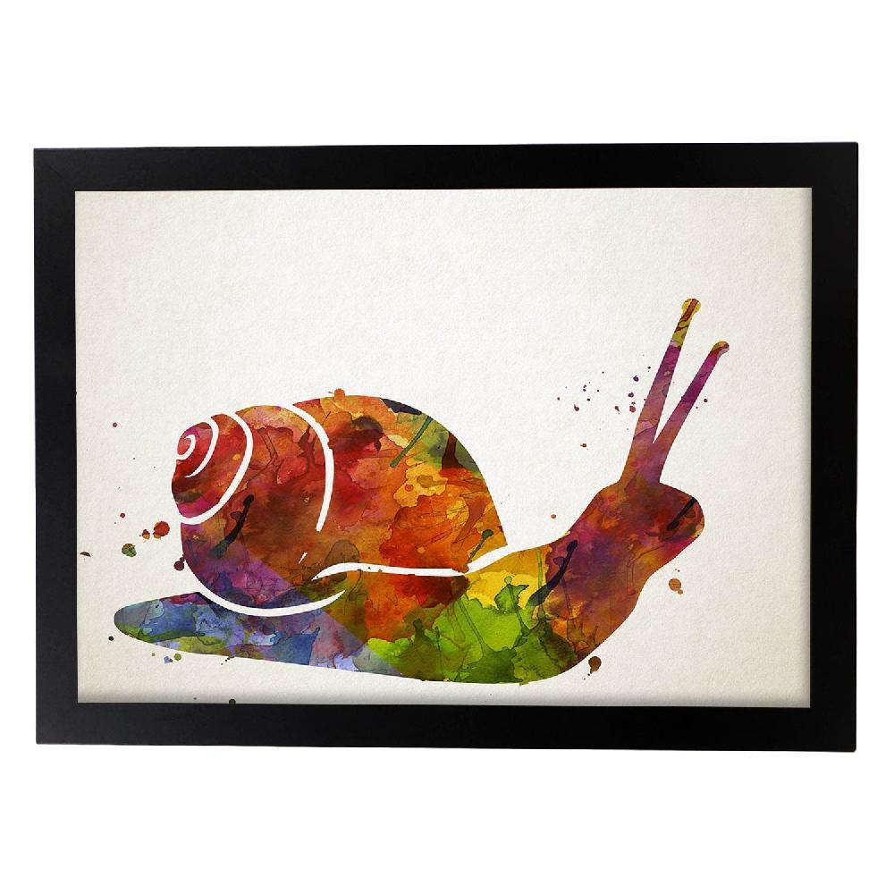 Nacnic Lámina De Caracol Estilo Acuarela