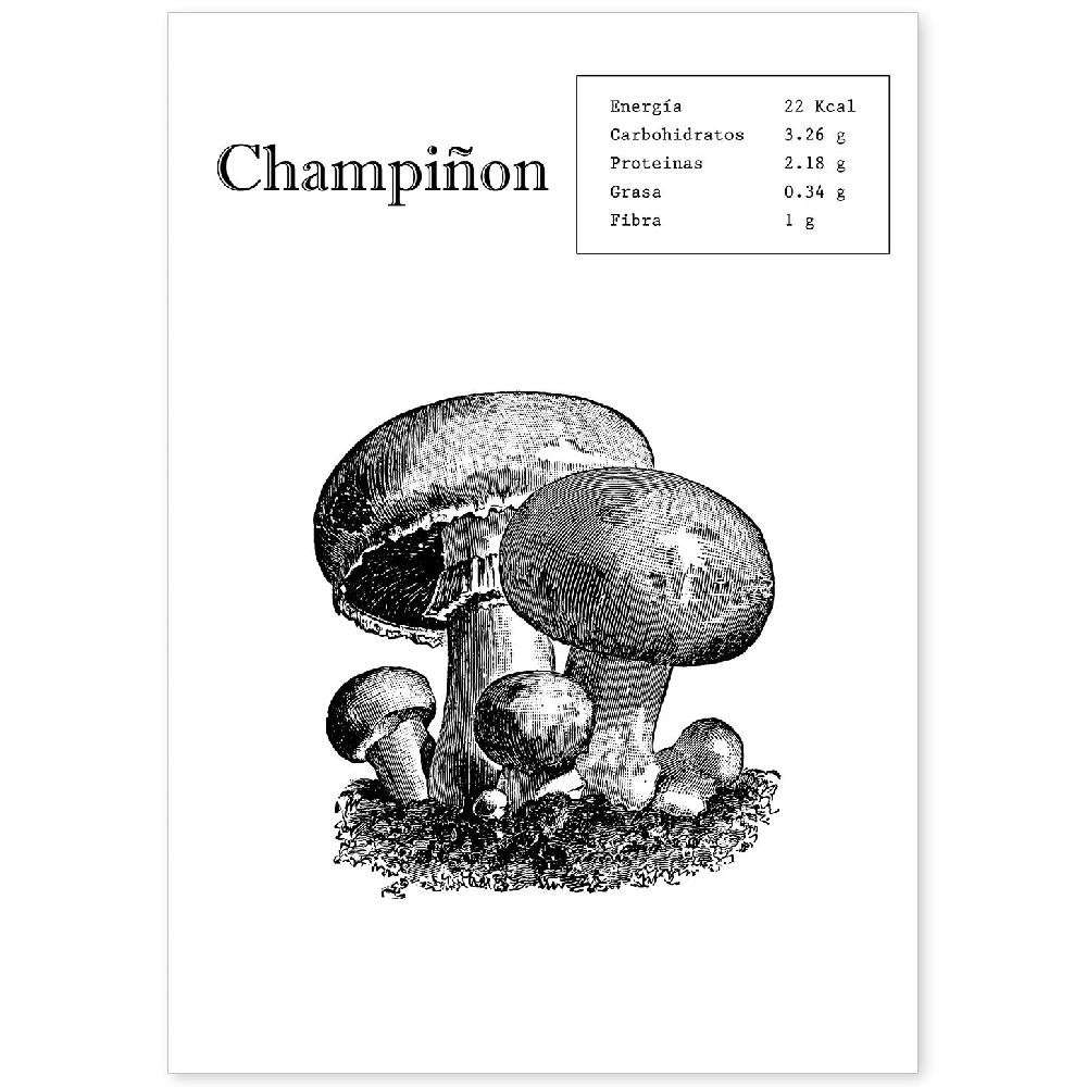 nacnic Lámina de Champiñon