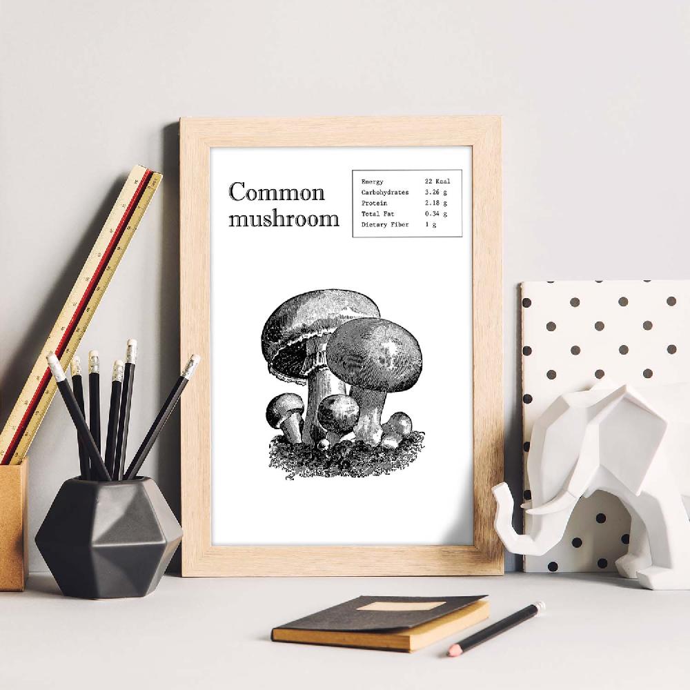 Nacnic Lámina De Championes En Inglés