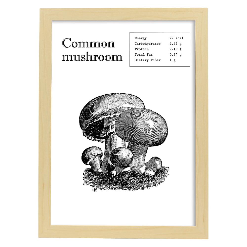 Nacnic Lámina De Championes En Inglés