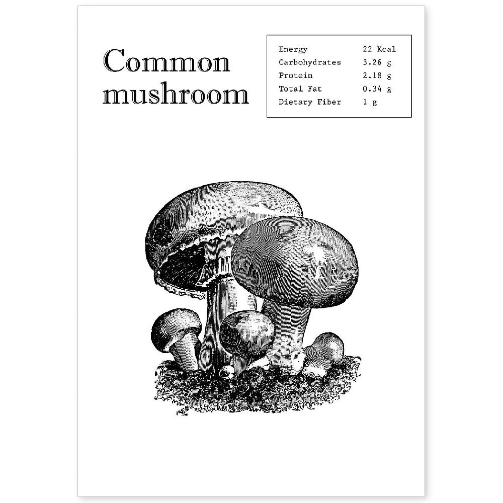 nacnic Lámina de Championes en Inglés