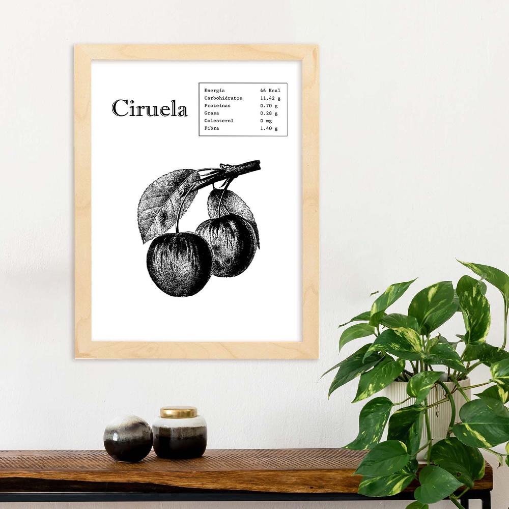 Nacnic Lámina De Ciruela
